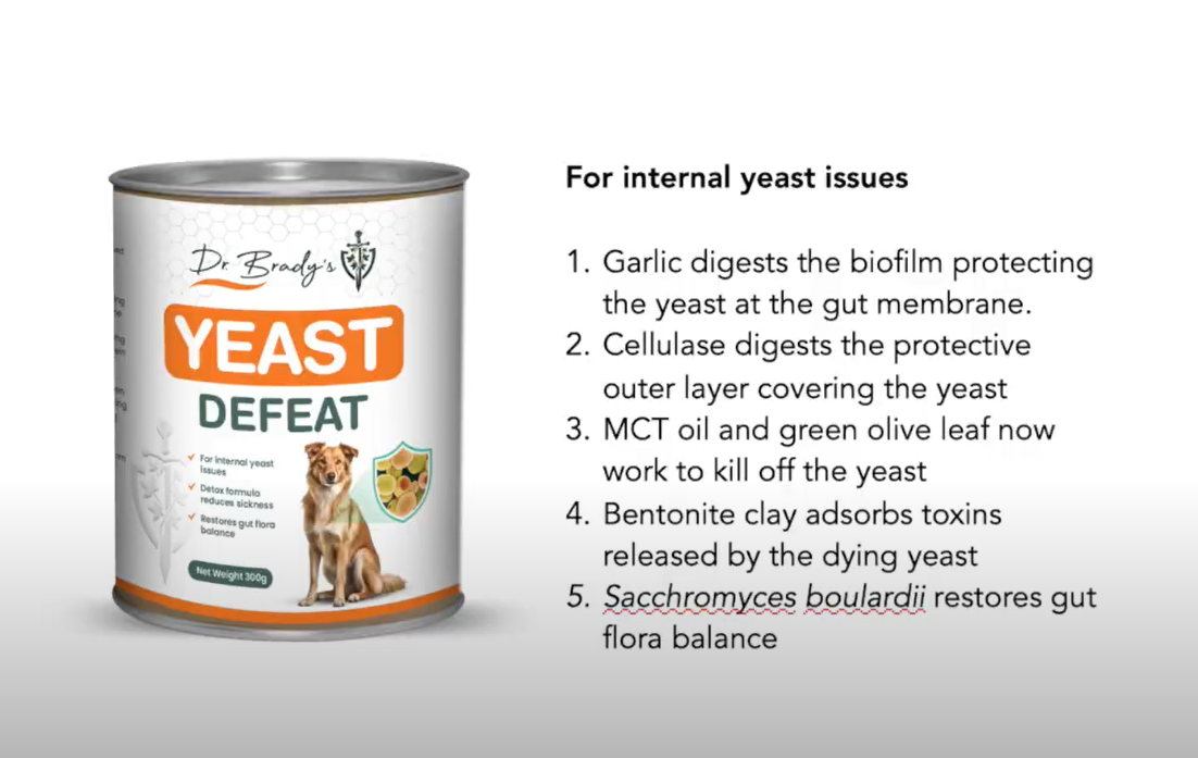 Dr. Brady's Yeast Defeat