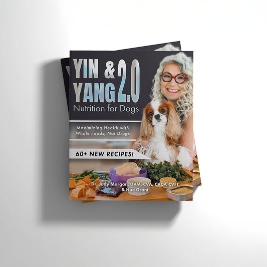 Yin & Yang 2.0 Nutrition for Dogs