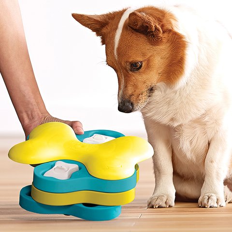 Nina Ottosson Dog Tornado Interactive Dog Toy