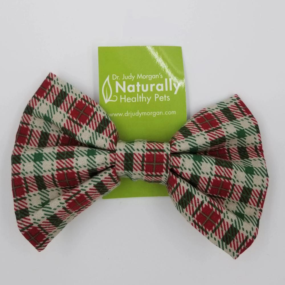 Large Collar Bow