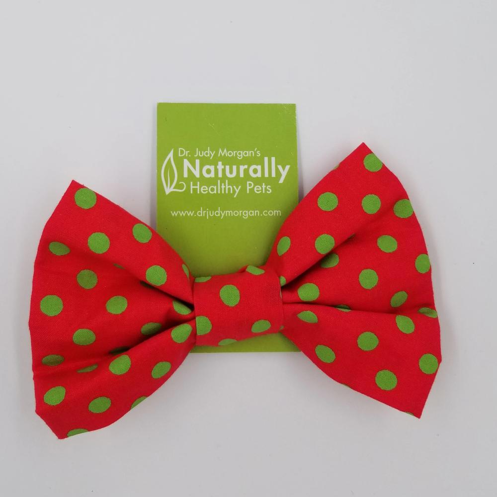 Large Collar Bow