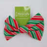 Large Collar Bow