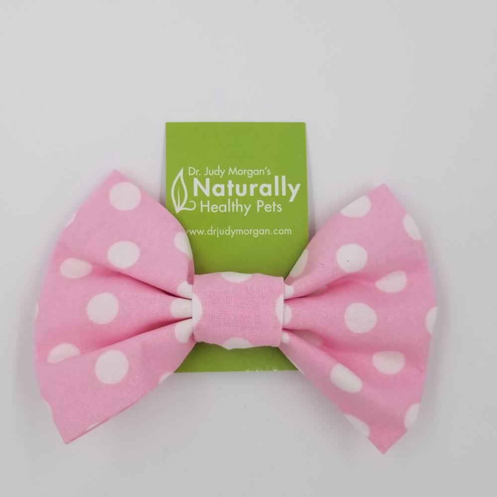 Large Collar Bow