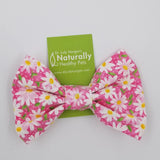 Large Collar Bow