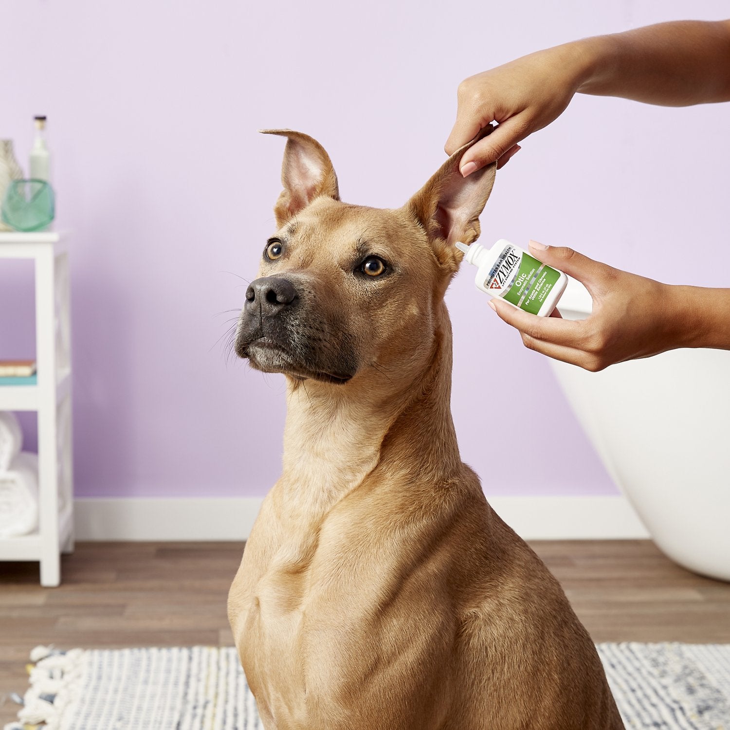 Zymox pet clearance ear treatment