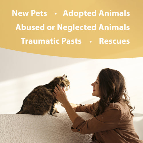 Botanical Animal | Angel of Mercy