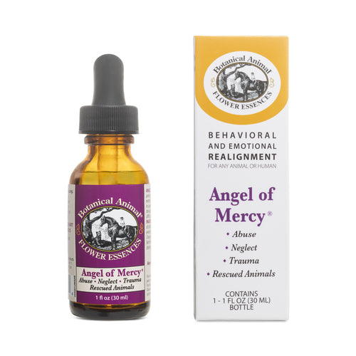 Botanical Animal | Angel of Mercy