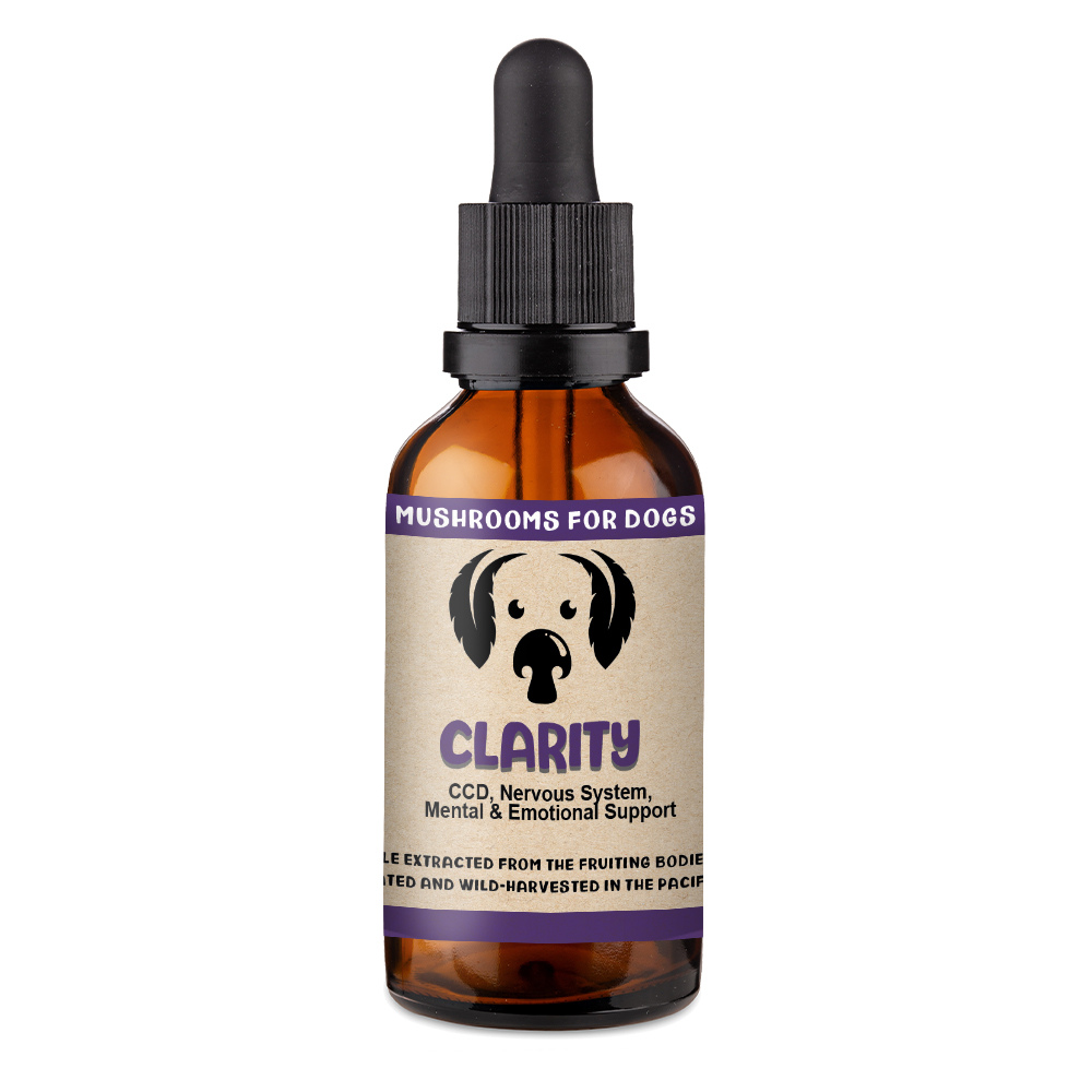 MYCODog | Clarity - Mushroom Extract & Adaptogen Tincture