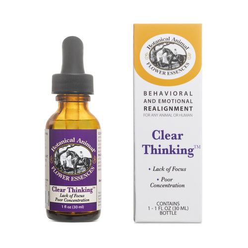 Botanical Animal | Clear Thinking
