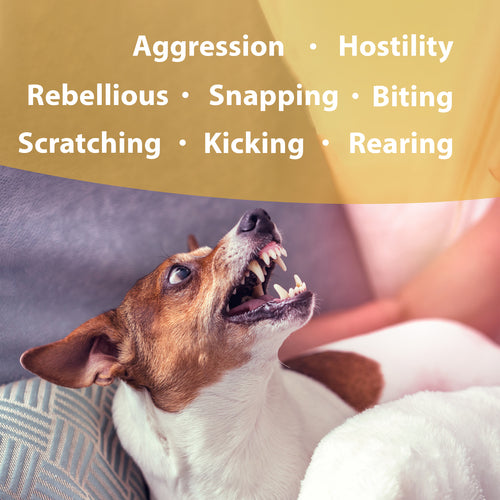 Botanical Animal | Devil Be Gone