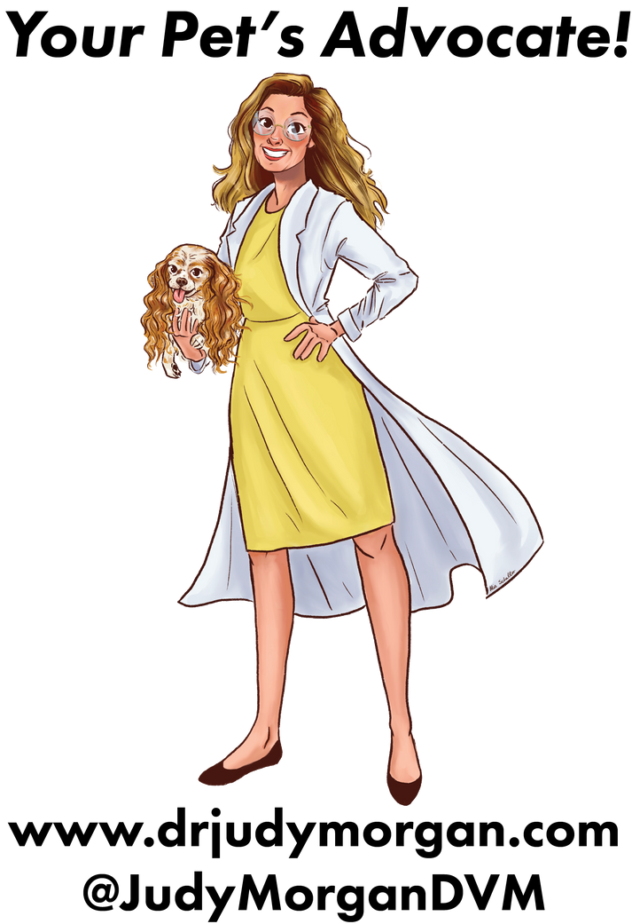 Veterinary Visit Checklist Dr. Judy Naturally Healthy Pets