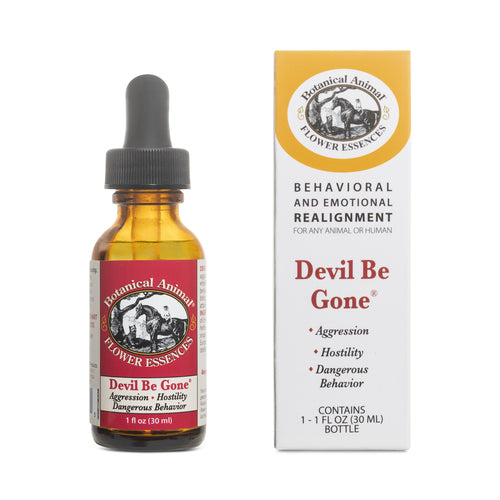 Botanical Animal | Devil Be Gone