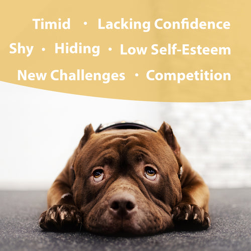 Botanical Animal | Ego Builder