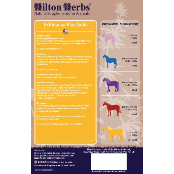 Hilton Herbs | Echinacea Plus Gold Immune Support for Equines