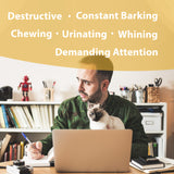 Botanical Animal | Easy Does It