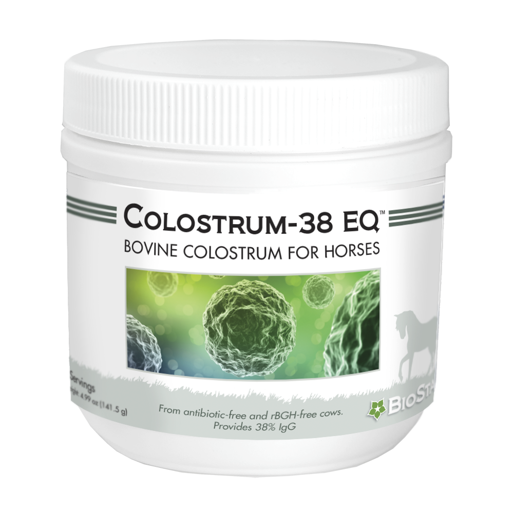 BioStar Colostrum for Equines