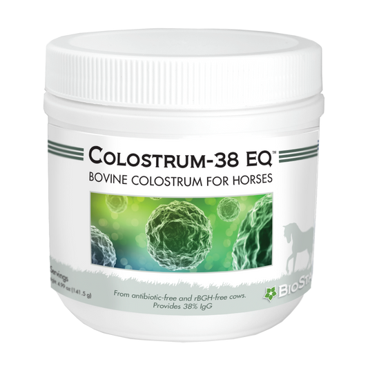 BioStar Colostrum for Equines