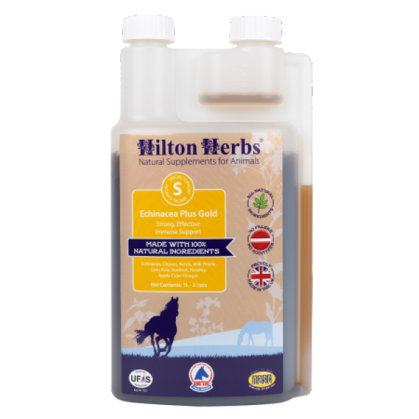 Hilton Herbs | Echinacea Plus Gold Immune Support for Equines