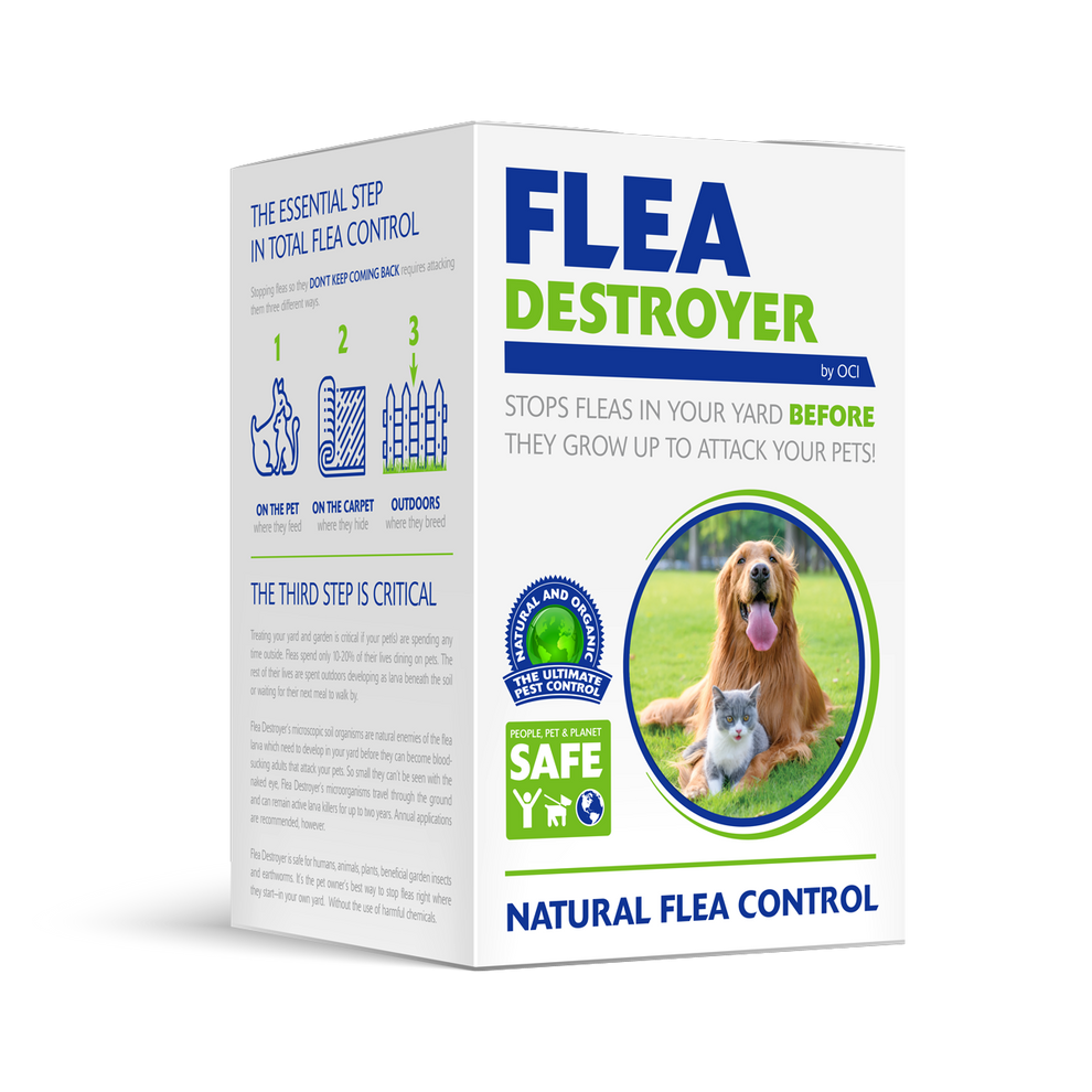 Photo inspiration: Natural Flea Control For Geriatric Felines Reference: Flea Destroyer