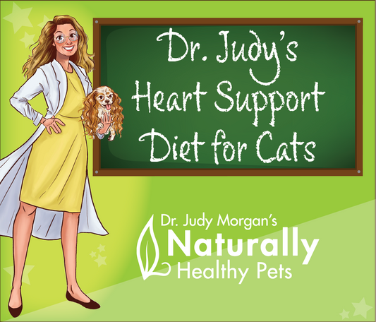 Dr. Judy's Heart Support Diet for Cats