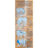 Hilton Herbs Herballs Horse Treats