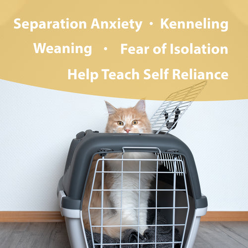 Botanical Animal | Independence