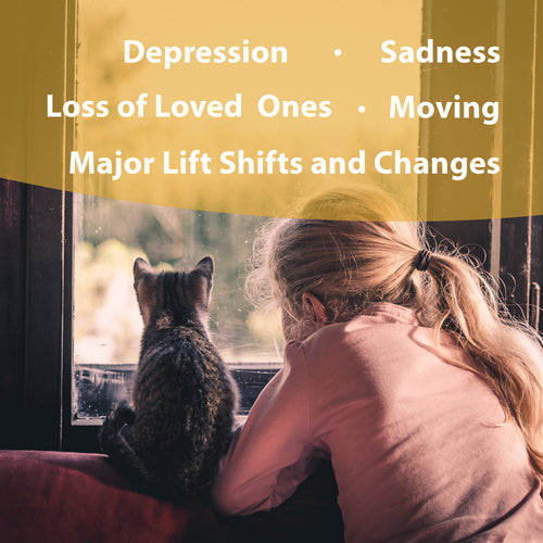 Botanical Animal | Life's Changes