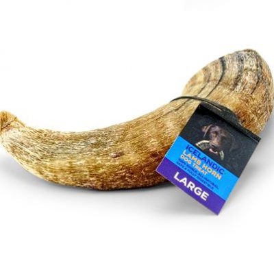 Icelandic+ Lamb Horn Dog Treat