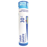 Boiron Ledum Palustre - 30C