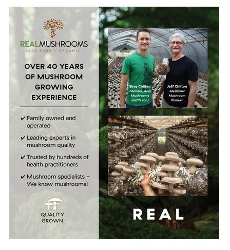 Real Mushrooms Organic Lions Mane Mushroom Powder – 60g