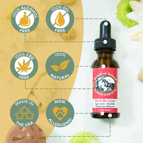 Botanical Animal | Devil Be Gone