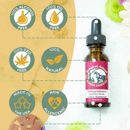 Botanical Animal | Independence