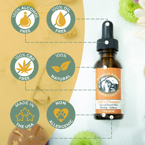 Botanical Animal | Life's Changes