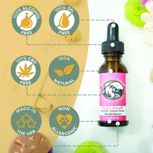 Botanical Animal | Panic Attack