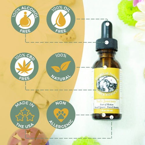Botanical Animal | Safe Journey