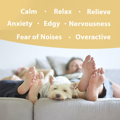 Botanical Animal | Mellow Out