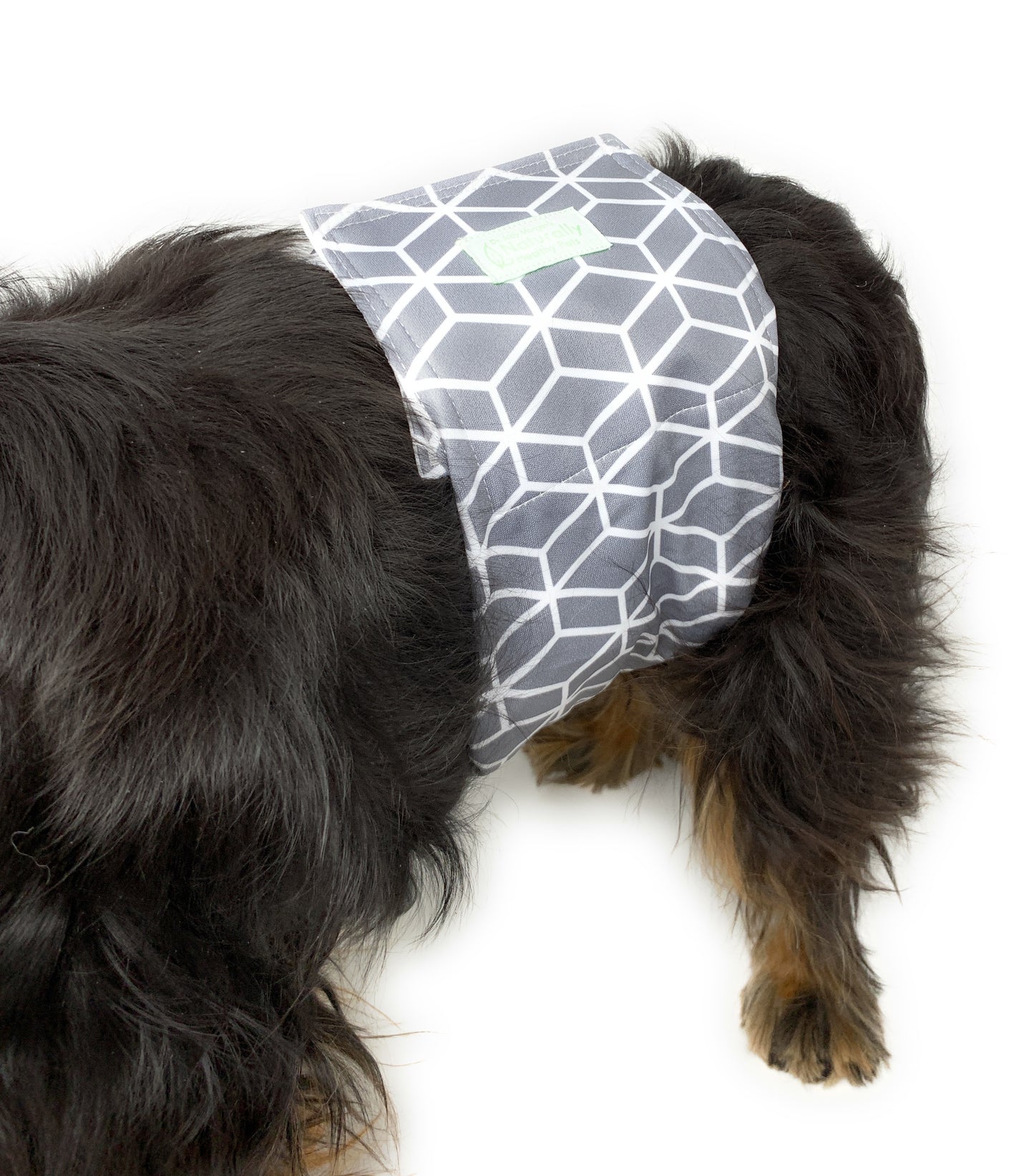 Male Diaper Wraps for Dogs (3 pack) Printed Pattern