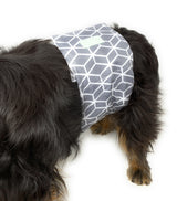 Male Diaper Wraps for Dogs (3 pack)