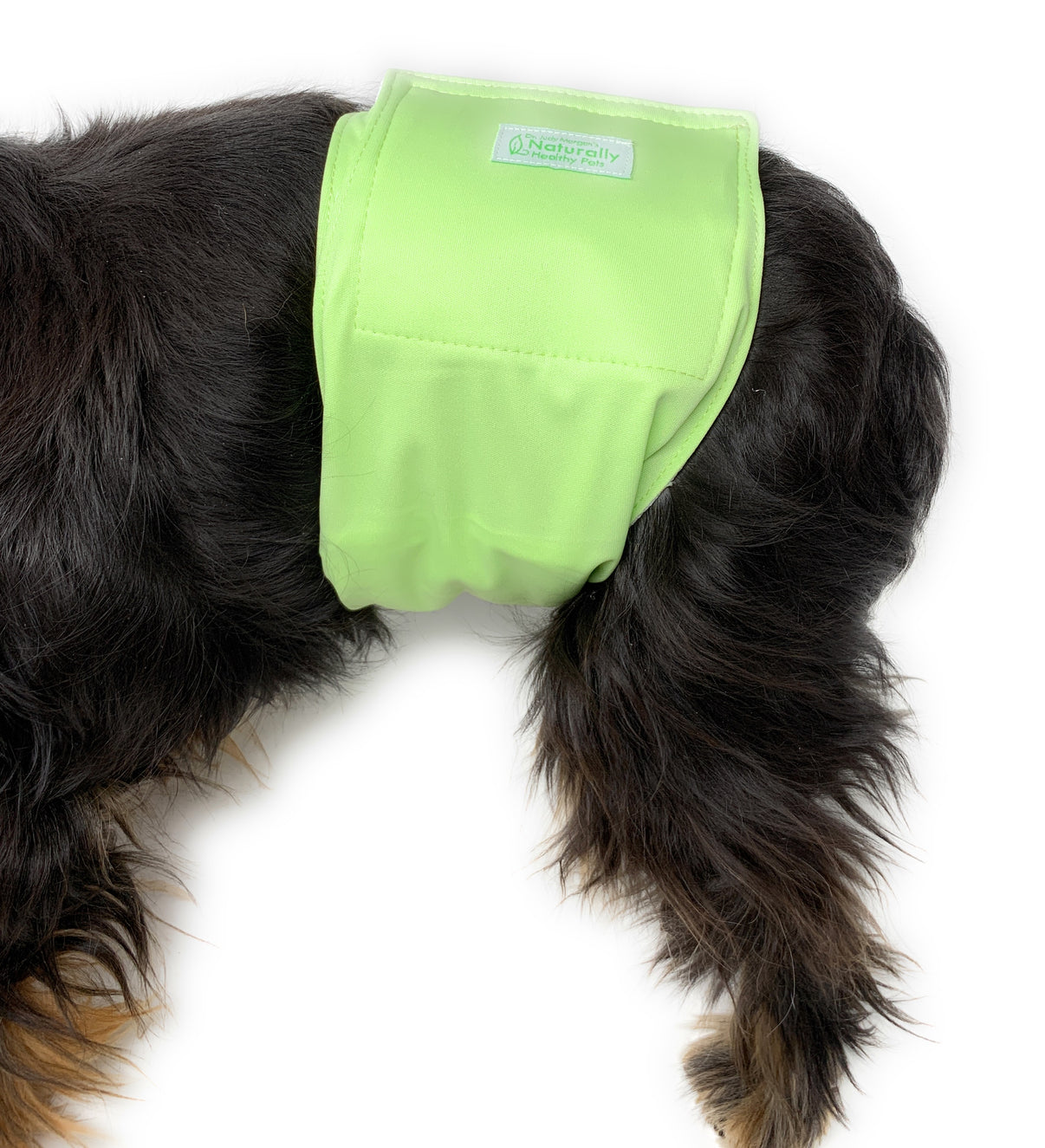Male Diaper Wraps for Dogs (3 pack) Solid Color – Dr. Judy Morgan's ...