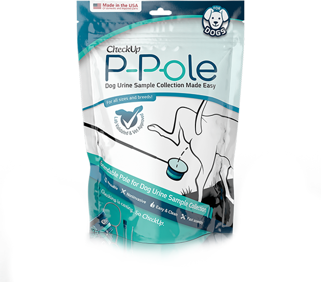 CheckUp | P-Pole Urine Collection Kit for Dogs