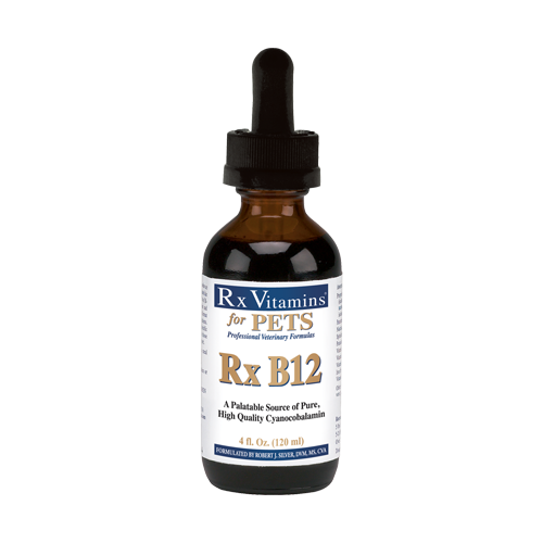 Rx Vitamins B-12 Liquid