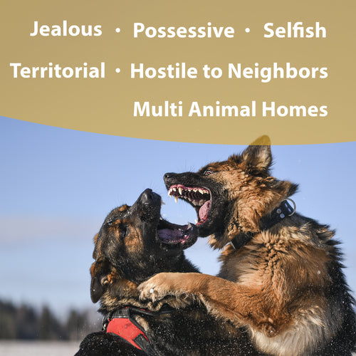 Botanical Animal | Sibling Rivalry