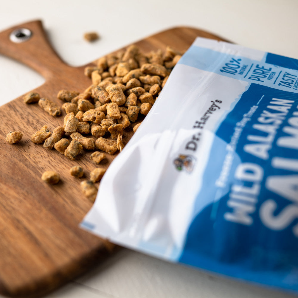 Dr. Harvey's | Salmon Bites - Freeze Dried Treats