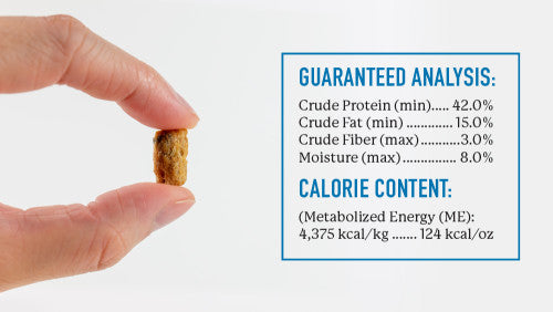 Dr. Harvey's | Salmon Bites - Freeze Dried Treats