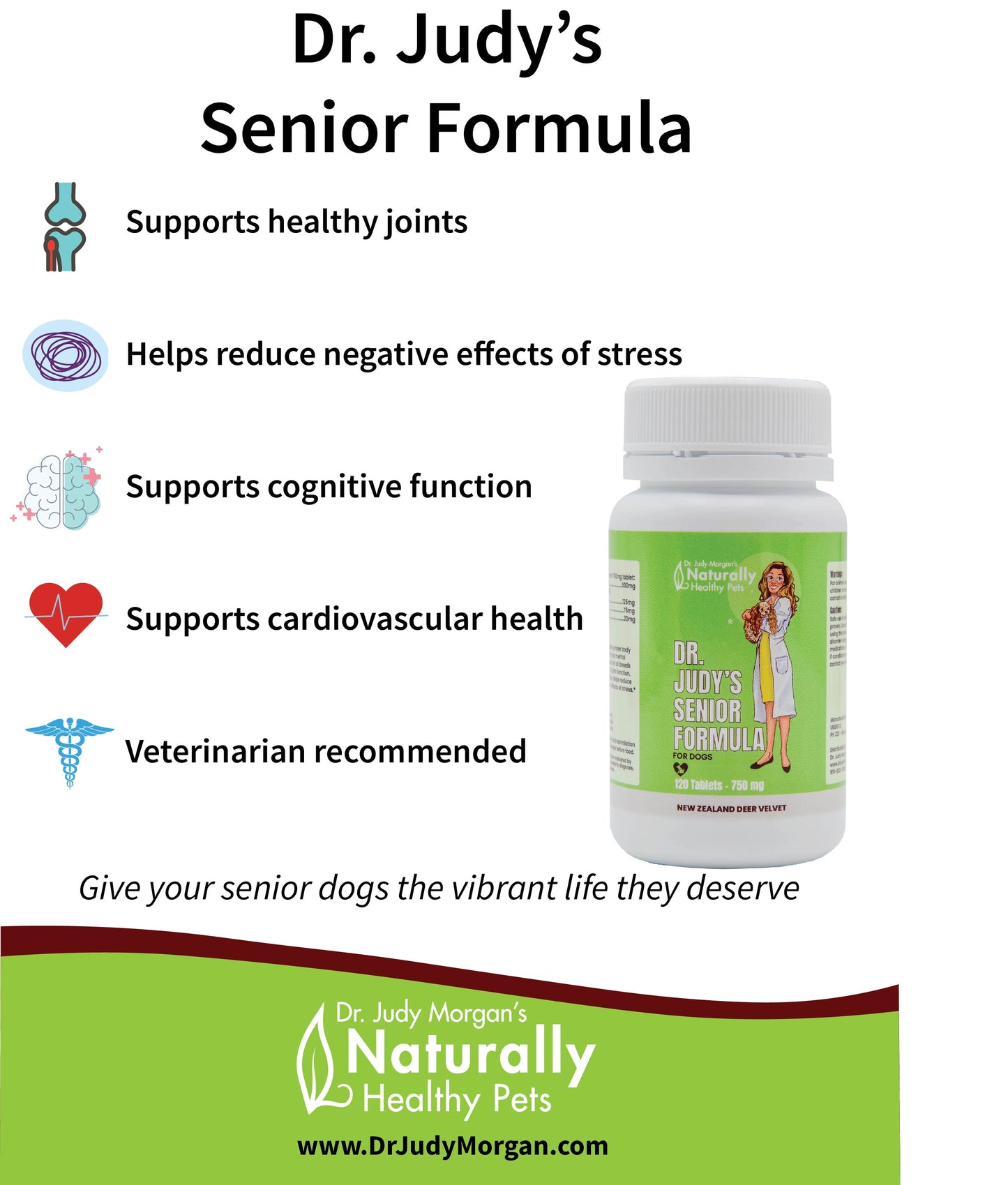 Dr. Judy Morgan's Senior Formula for Dogs