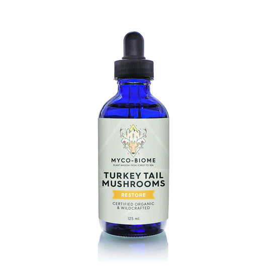 Adored Beast Apothecary Turkey Tail Mushroom - Liquid Triple Extract