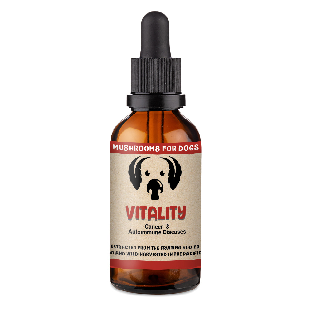 MYCODog | Vitality - Mushroom Extract & Adaptogen Tincture