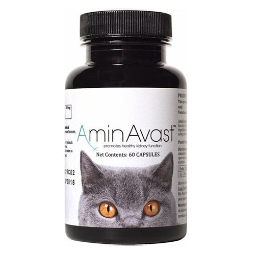 AminAvast Kidney Support for Cats, 60 count