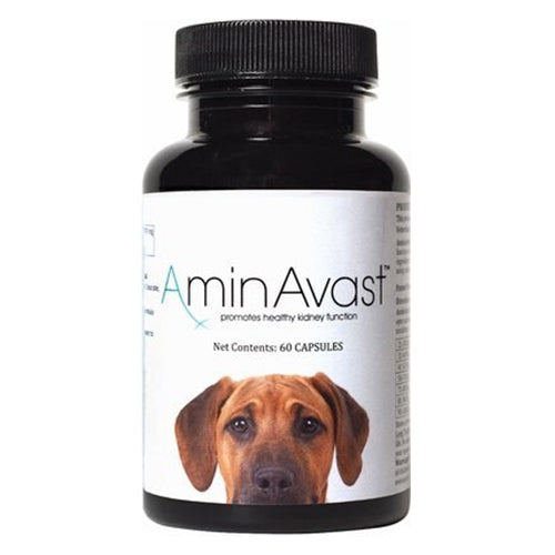 AminAvast Kidney Support for Dogs, 60 count