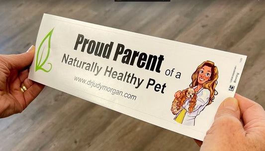 Naturally Healthy Pet Bumper Sticker